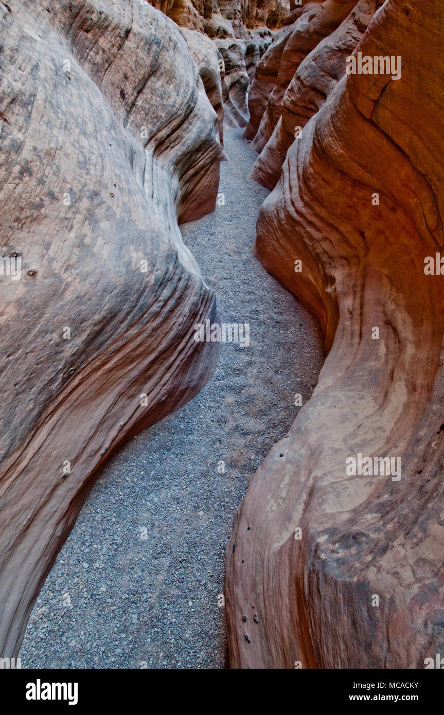 Poco Wildhorse Slot Canyon nel San Rafael si rigonfiano nella zona centrale dello Utah. Foto Stock