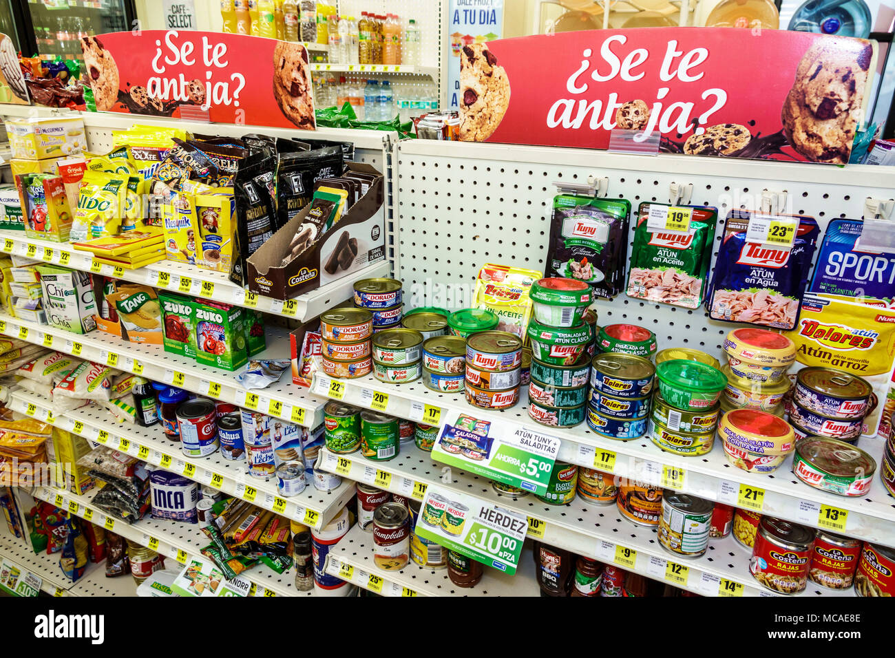 Città del Messico,messicano,ispanico,Coyoacan,del Carmen,7-Eleven,minimarket,interno,mostra vendita shopping shopper negozi negozi mercato m Foto Stock