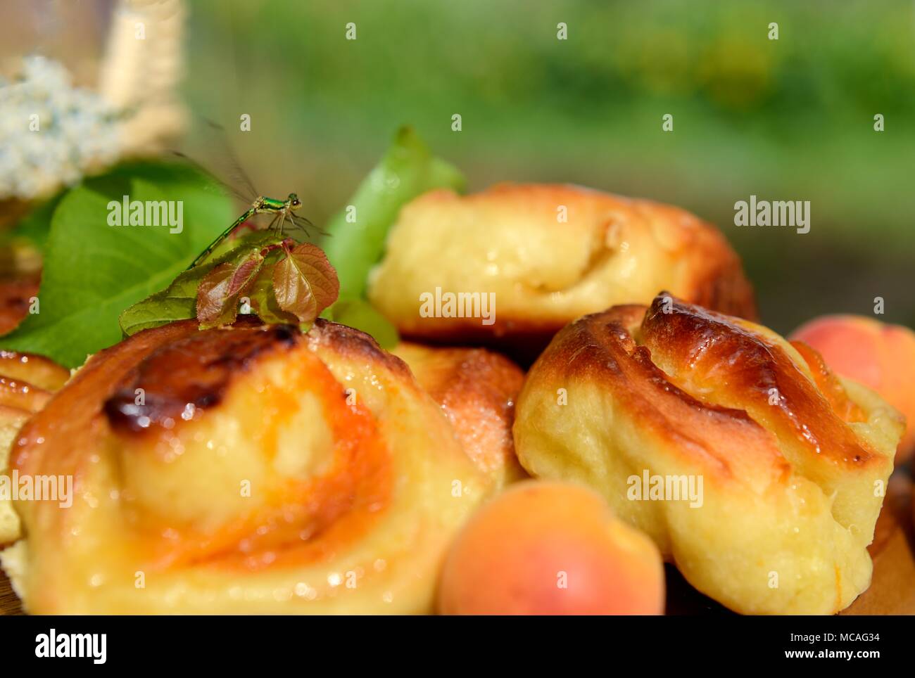 Focaccine fatte dalla pasta lievitata con confettura di albicocche Foto Stock