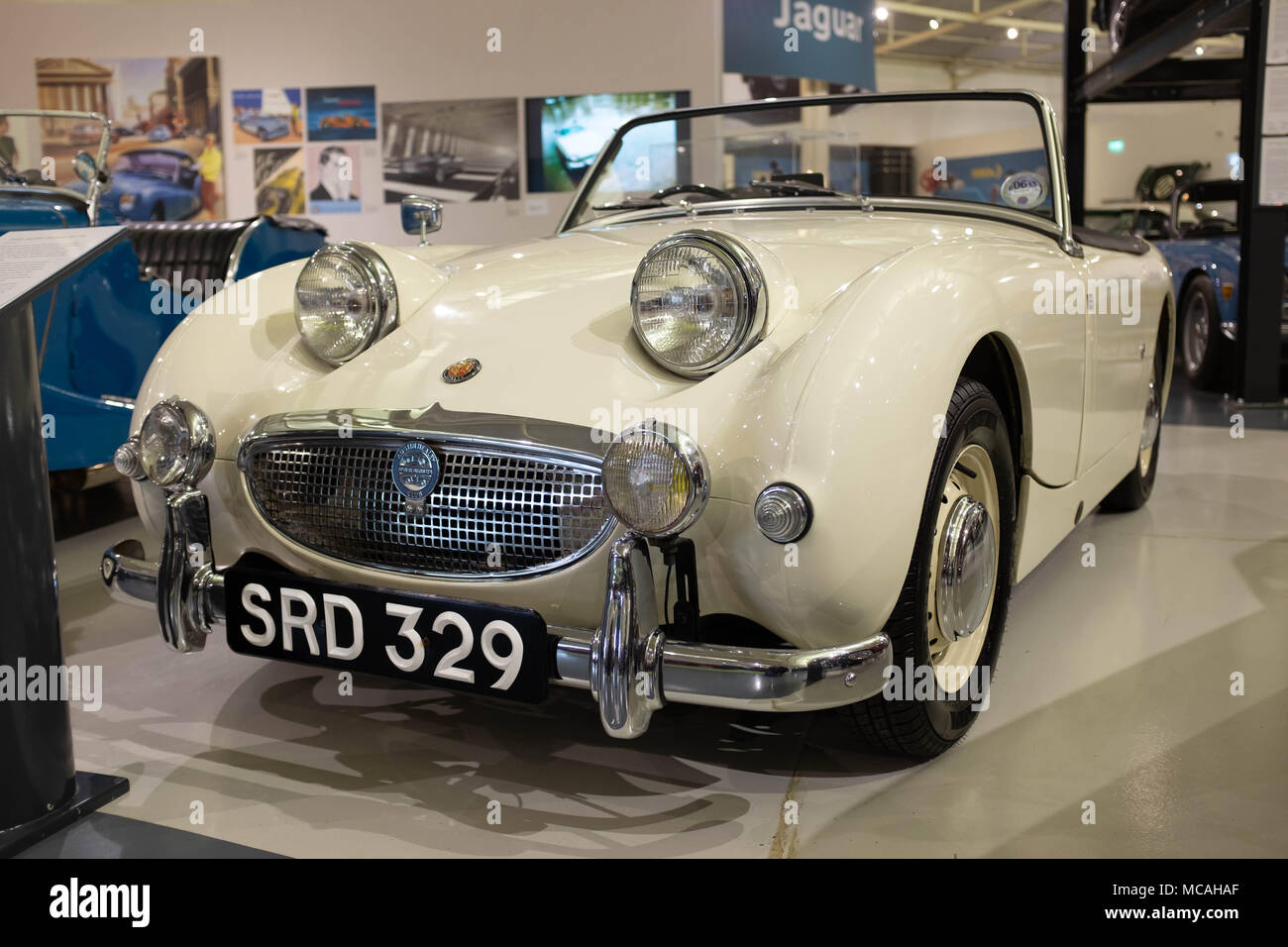 1959 Austin Healey Sprite Foto Stock