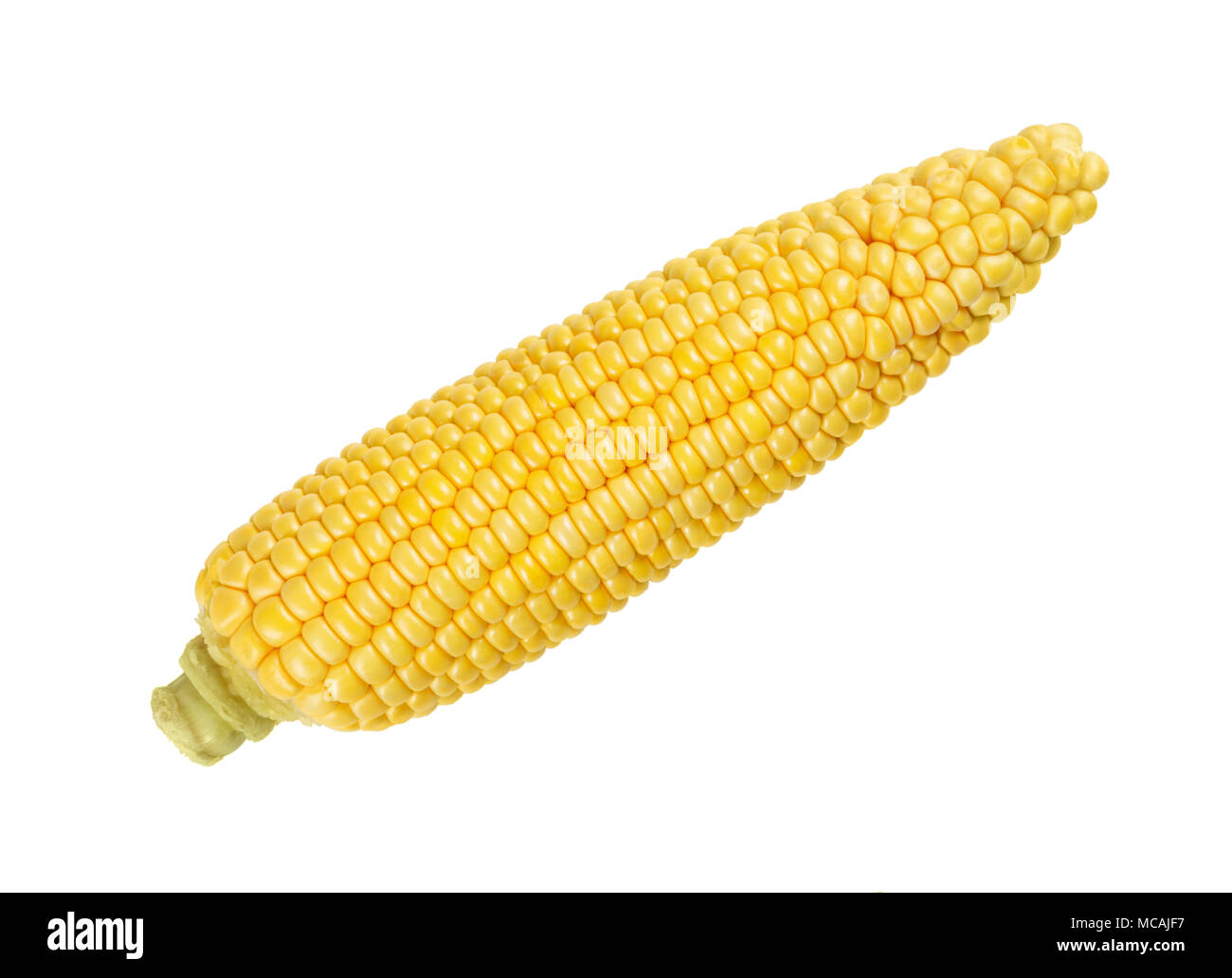 Riso semigreggio pannocchia di granturco dolce, anche lo zucchero di mais. Fresche e vegetali con elevato contenuto di zucchero. Raccolte immature e in fase di latte. Zea mays. Foto di cibo. Foto Stock