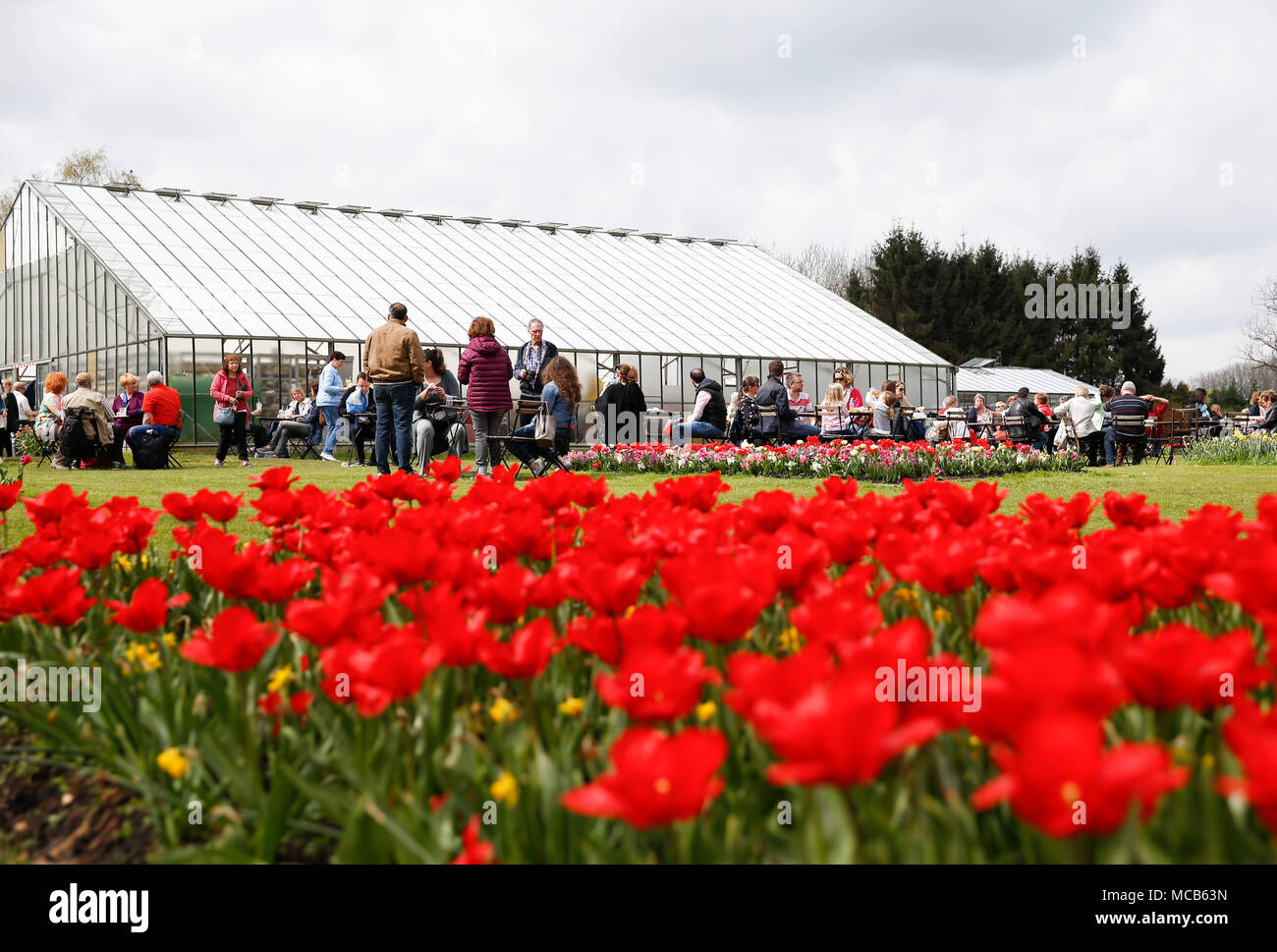 Bruxelles, Belgio. Xv Apr, 2018. Le persone godono di fiori a Groot-Bijgaarden castello nel sobborgo di Bruxelles, Belgio, 15 aprile 2018. Il castello, che è piantato da oltre 1,7 milioni di piante di fiori, sarà aperta al pubblico dal 6 Aprile al 6 maggio. Credito: Voi Pingfan/Xinhua/Alamy Live News Foto Stock