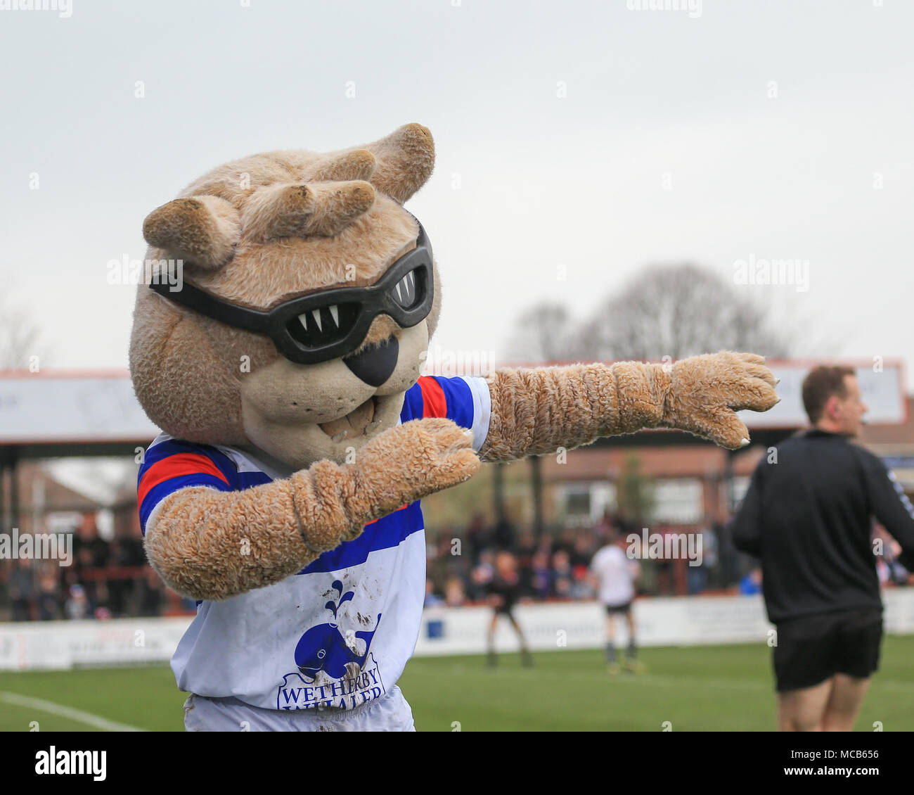 Wakefield, Regno Unito 15 Aprile 2018Betfred Super League Rugby, Wakefield Trinity v St Helens; Daddy Cool Wakefield Trinità di mascotte tamponando per la folla Credito: News Immagini/Alamy Live News Credito: News Immagini/Alamy Live News Foto Stock