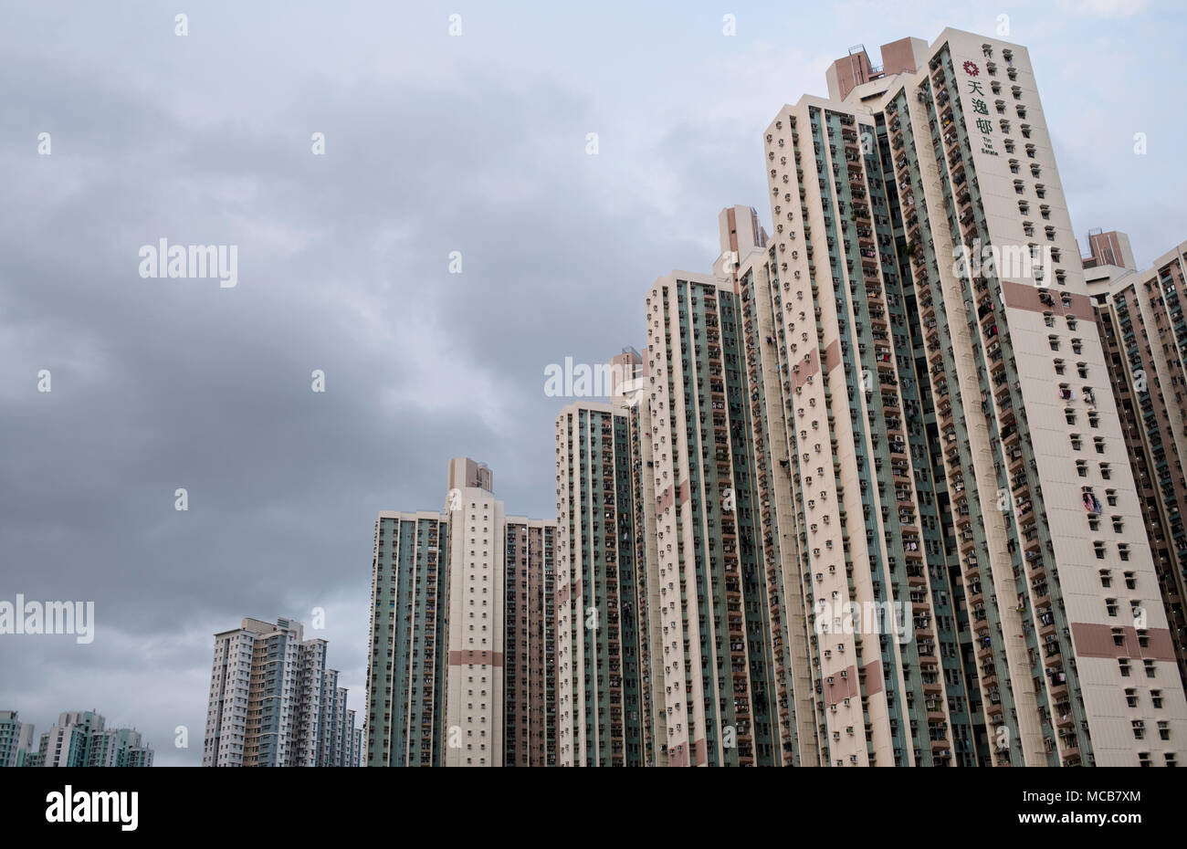 Tin Shui Wai alloggiamento pubblico appartamenti nel nord di Hong Kong. La casa di proprietà scheme alloggiamento sono appartamenti che sono in corso di sviluppo da parte del governo di Hong Kong offre fino al 60% di sconto del valore di mercato offerti per le famiglie a basso reddito. Foto Stock