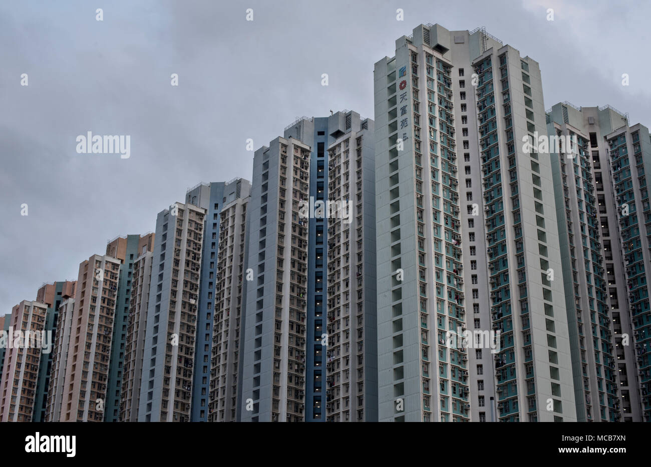 Tin Shui Wai alloggiamento pubblico appartamenti nel nord di Hong Kong. La casa di proprietà scheme alloggiamento sono appartamenti che sono in corso di sviluppo da parte del governo di Hong Kong offre fino al 60% di sconto del valore di mercato offerti per le famiglie a basso reddito. Foto Stock