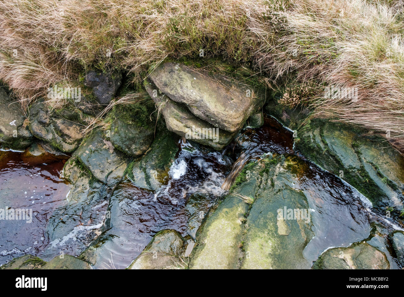 Un flusso che fluisce oltre il gritstone rocce di una piccola cascata visto da sopra, Kinder Scout, Derbyshire, Peak District, England, Regno Unito Foto Stock
