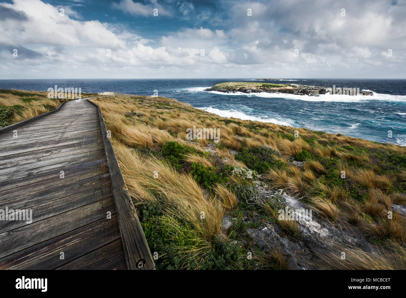 Australia: il sentiero che conduce all'Admirals Arch, in Kangaroo Island Foto: Alessandro Bosio/Alamy Foto Stock