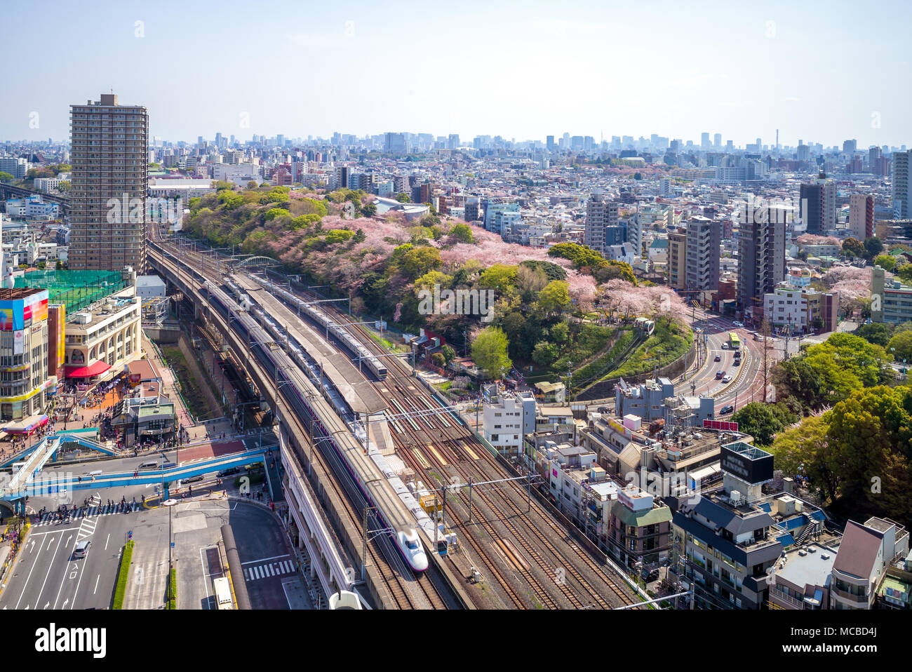La stazione ferroviaria e la metropolitana di Tokyo, Giappone Foto Stock