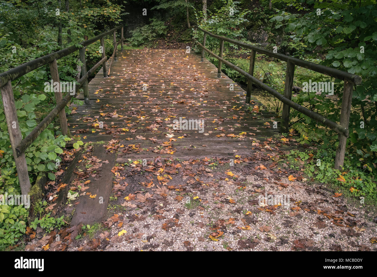 Ponte di legno in autunno Foto Stock