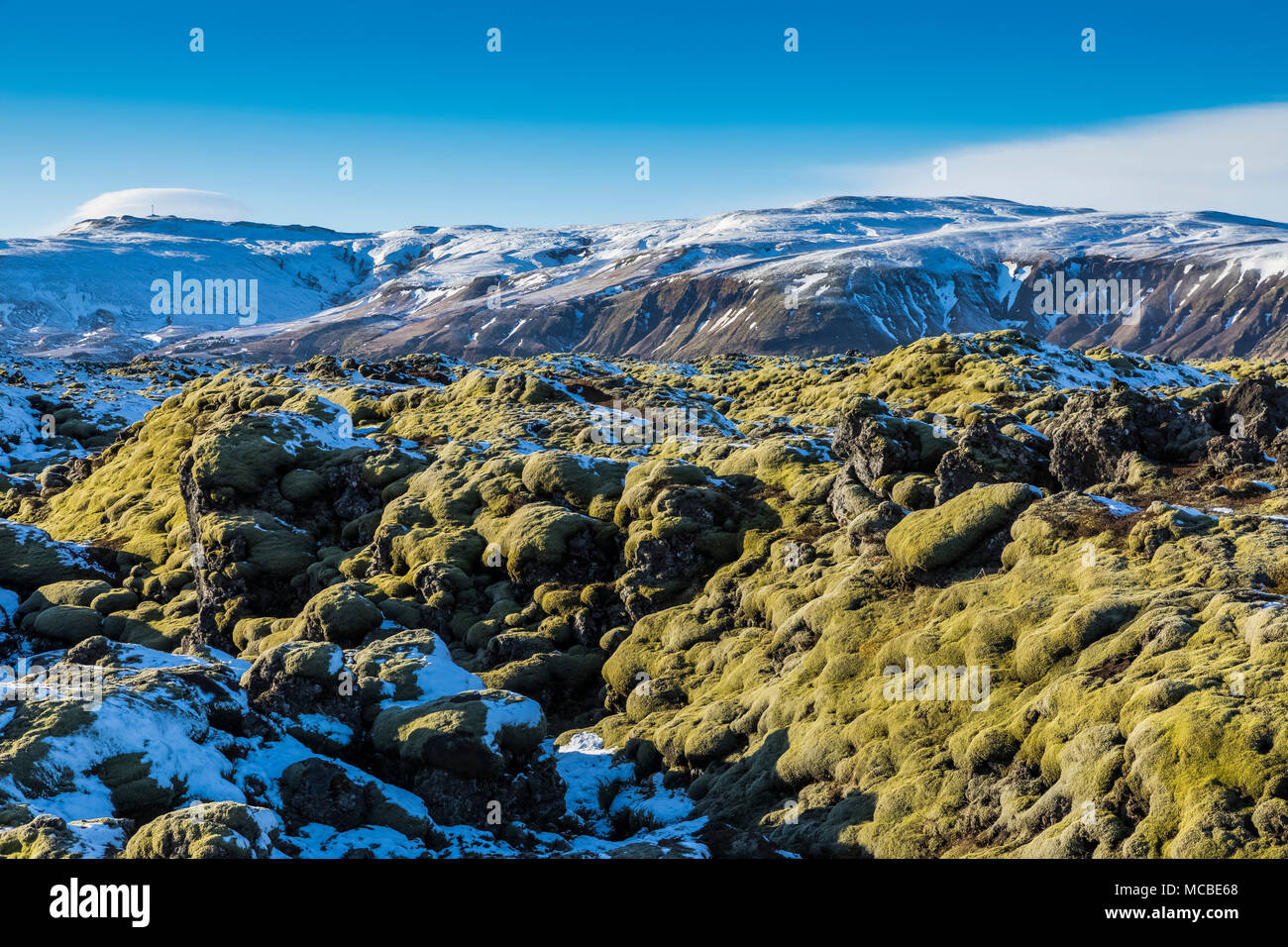 Moss-coperta di lava di Eldhraun campo di lava, che è stata versata nel corso del Laki, aka Lakagígar, eruzione del 1783 dal vulcano Grímsvota, che Foto Stock