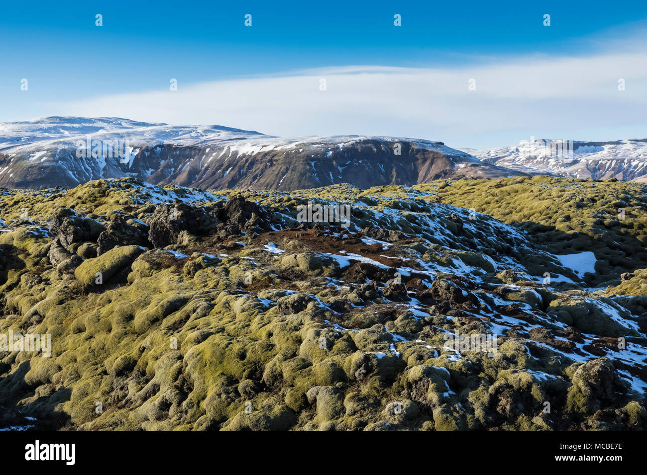 Moss-coperta di lava di Eldhraun campo di lava, che è stata versata nel corso del Laki, aka Lakagígar, eruzione del 1783 dal vulcano Grímsvota, che Foto Stock