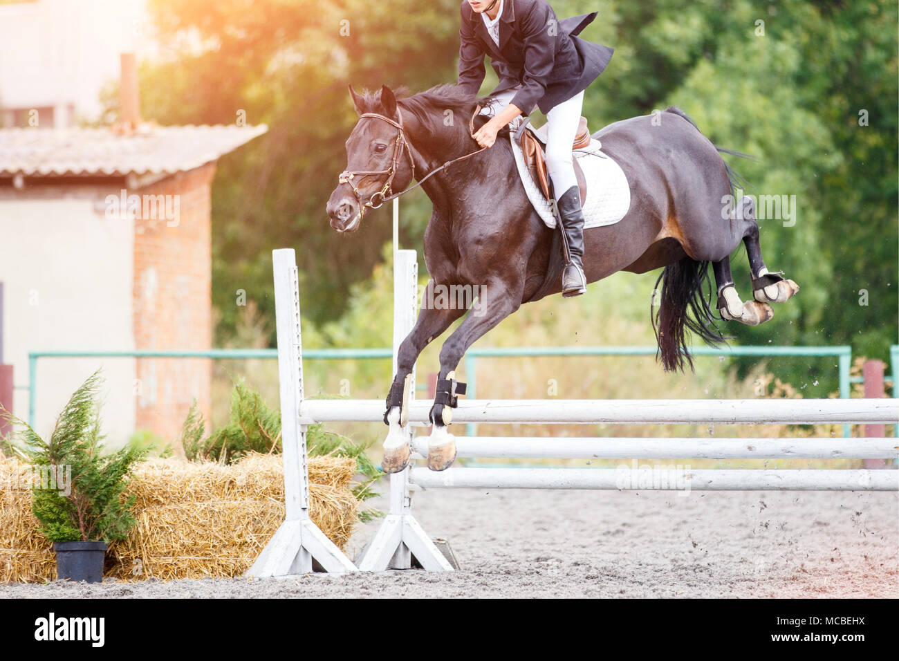 Pilota giovane uomo di saltare sul cavallo sopra un ostacolo su show jumping concorrenza Foto Stock