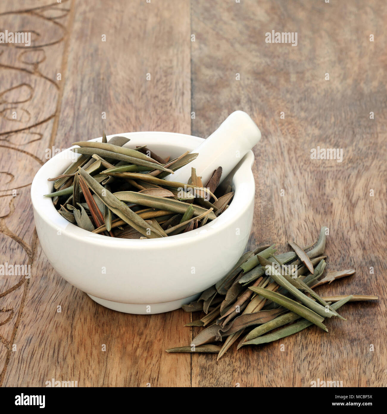 Foglie di Olive herb usato in alternativa la medicina di erbe al beneficio cardiovascolare e sistemi iimmune, aumenta l'energia e promuove una sana pressur sangue Foto Stock