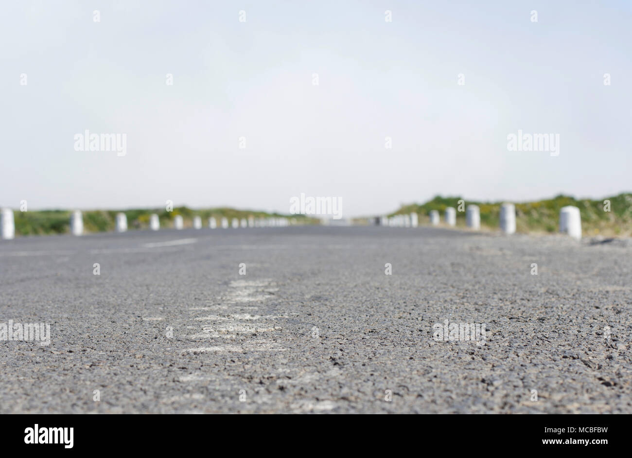 Strada. Paul da Serra. Madeira. Foto Stock