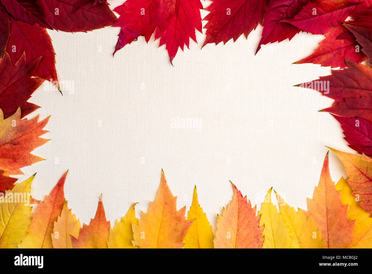 Colorato Foglie di autunno confine sul bianco della carta testurizzata sfondo. Foto Stock