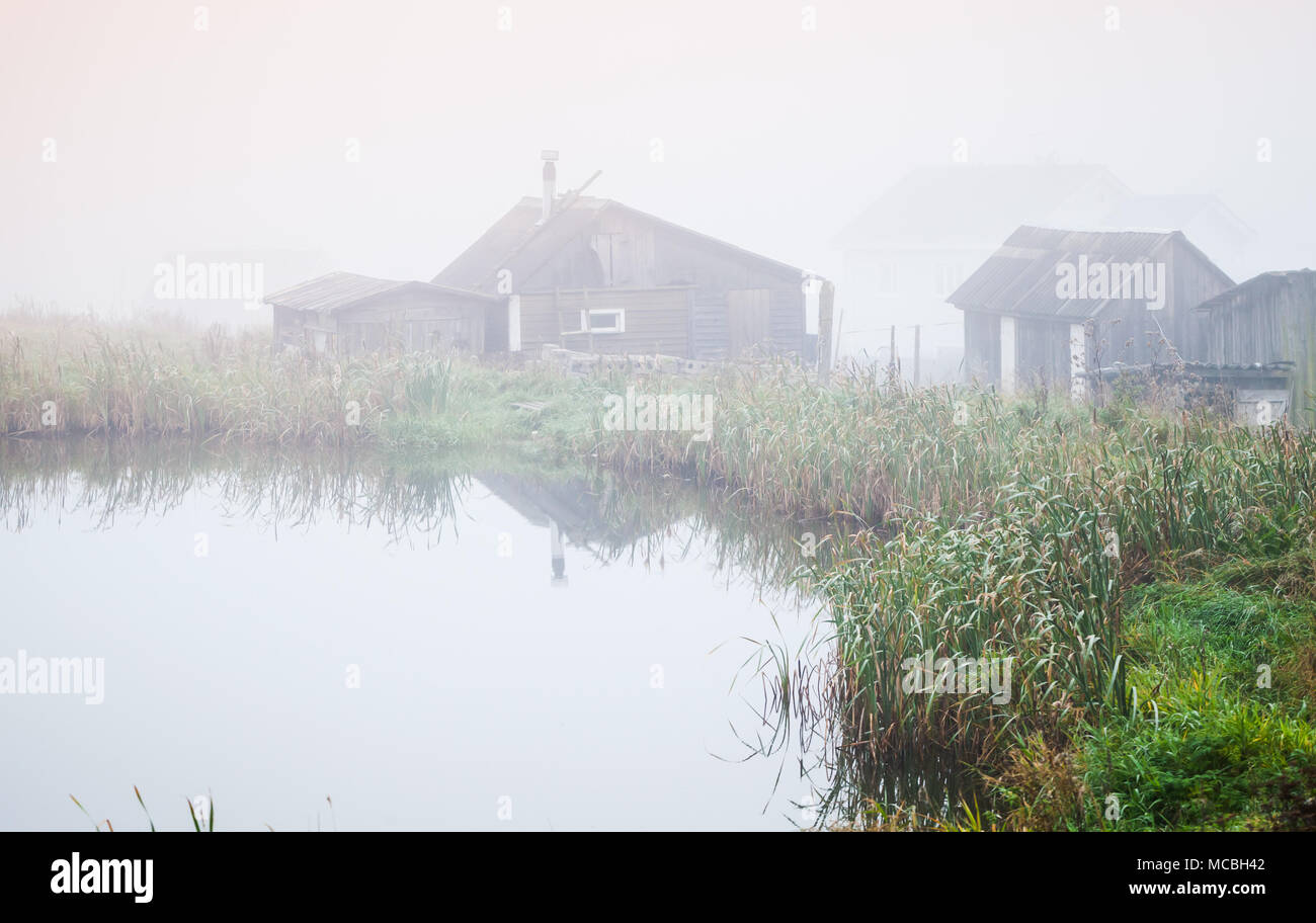 Mattinata nebbiosa su un lago costa, Russo paesaggio rurale Foto Stock