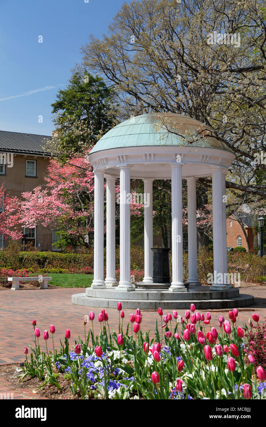 Vecchio Pozzo all'università di North Carolina a Chapel Hill, circondato da tulipani e rosa sanguinello. Foto Stock