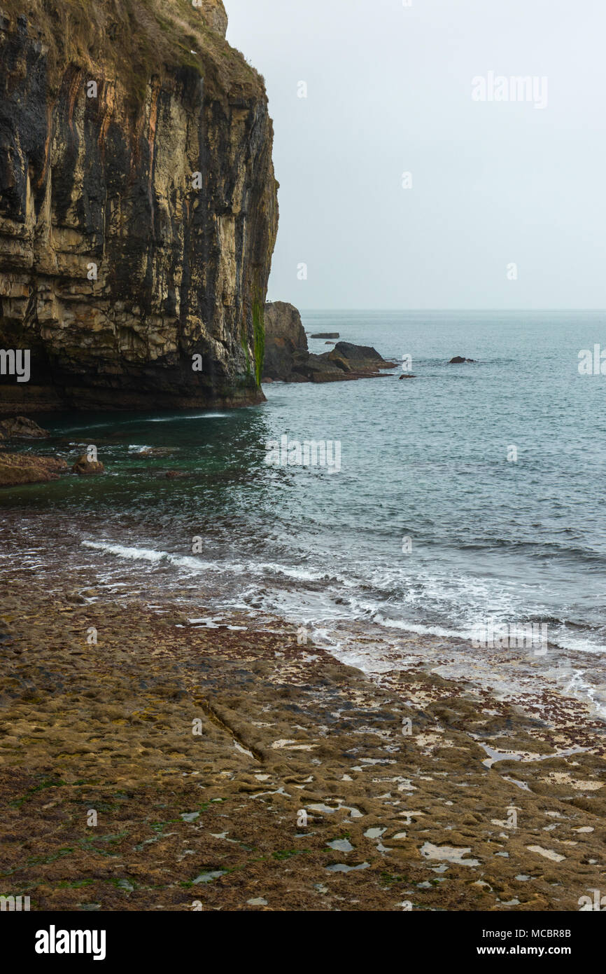Wet, gocciolamento cliff sporgenza alla battuta di ballo nel Dorset durante un giorno nuvoloso. Foto Stock