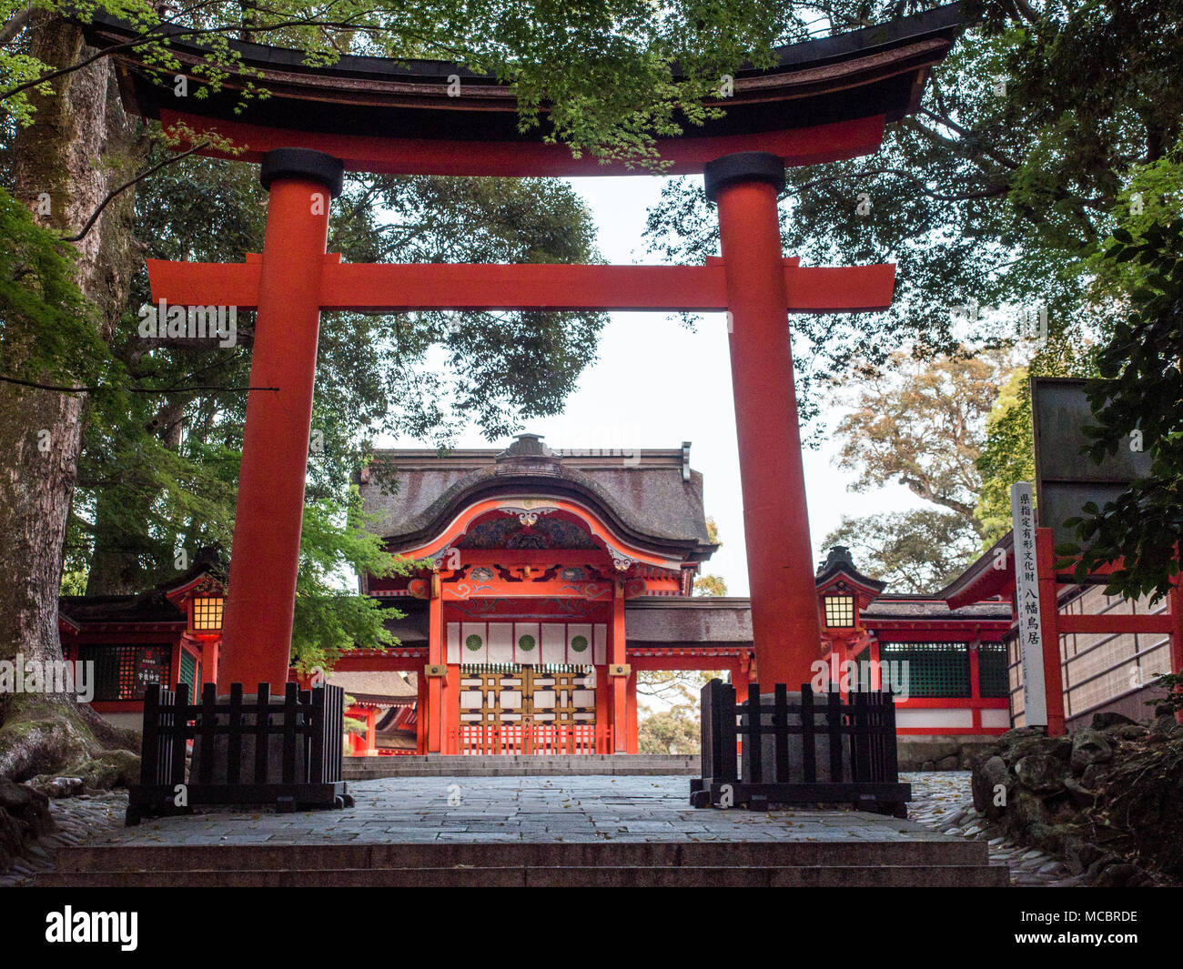 Torii gate e Saidai Mon gate Jogu alla principale area del santuario, Usa Jingu, Oita, Kyushu, Giappone Foto Stock