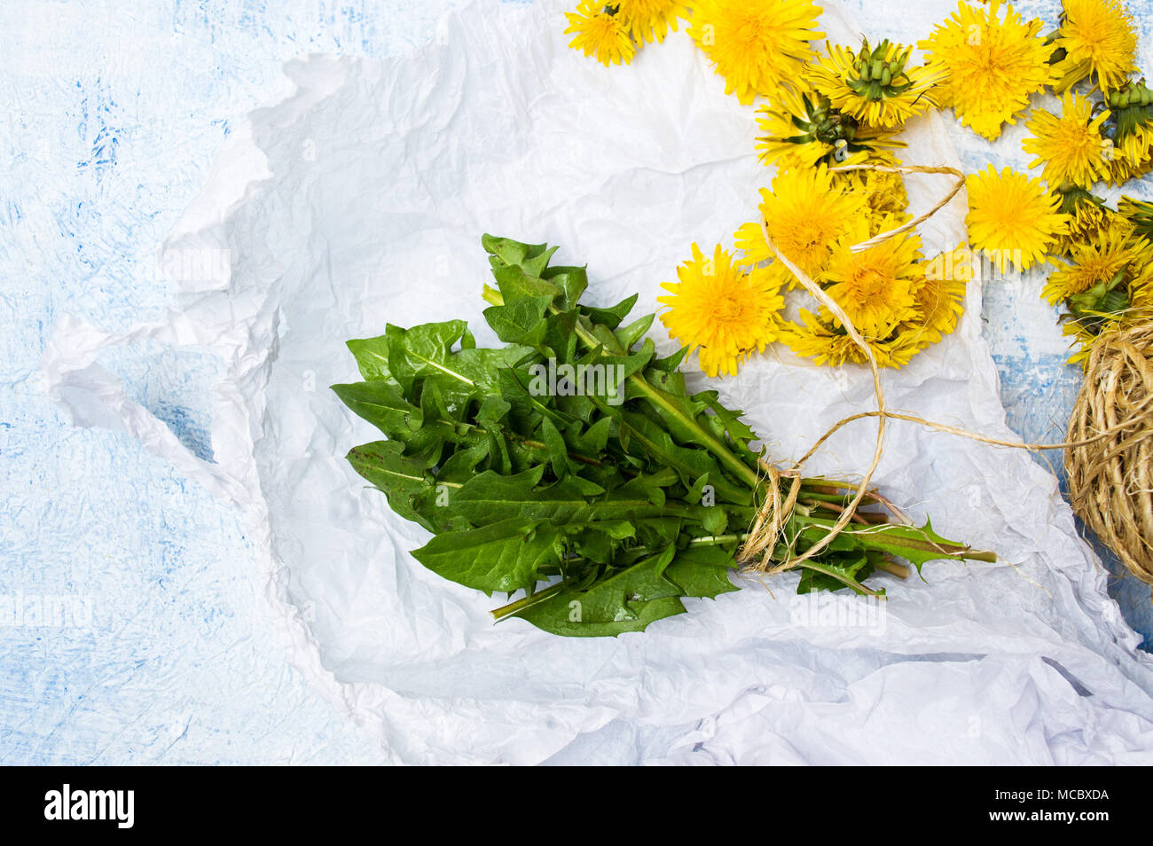 Tarassaco foglie e fiori su un tavolo vista superiore Foto Stock