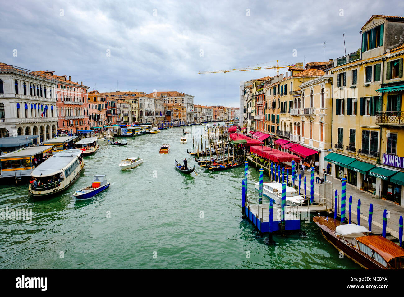 Vista del Canal Grande dal Ponte di Rialto (Ponte di Rialto), Venezia, Italia Foto Stock