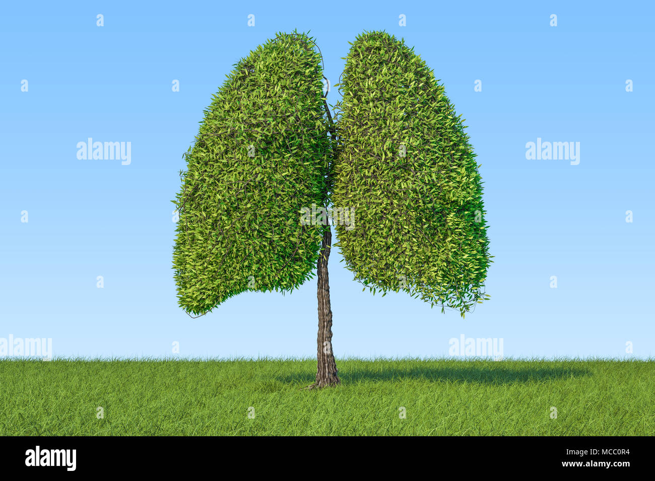 Concetto di eco. Albero a forma di polmoni sull'erba verde contro il cielo blu, rendering 3D Foto Stock