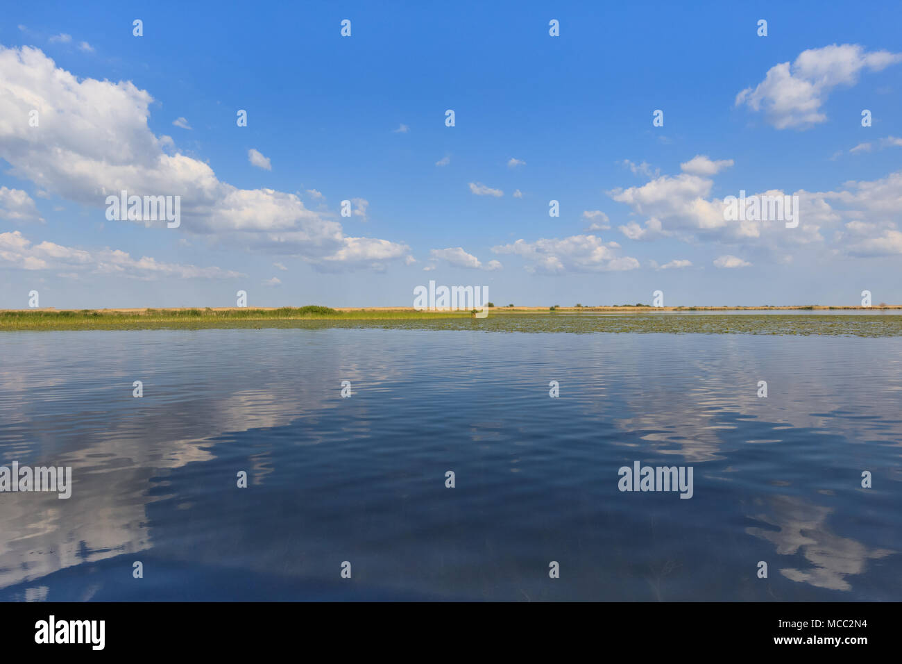 Bellissimo paesaggio nel Delta del Danubio, Romania Foto Stock
