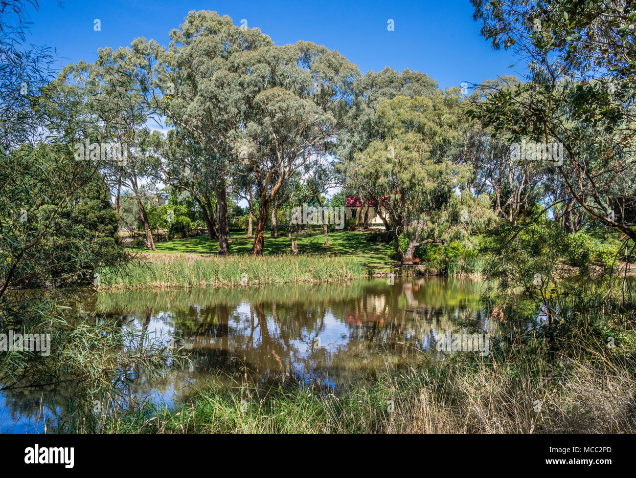 Piccolo e pittoresco patrimonio chiesa tra gli alberi di eucalipti e billabongs di Orange Botanic Gardens, Central West New South Wales, Australia Foto Stock