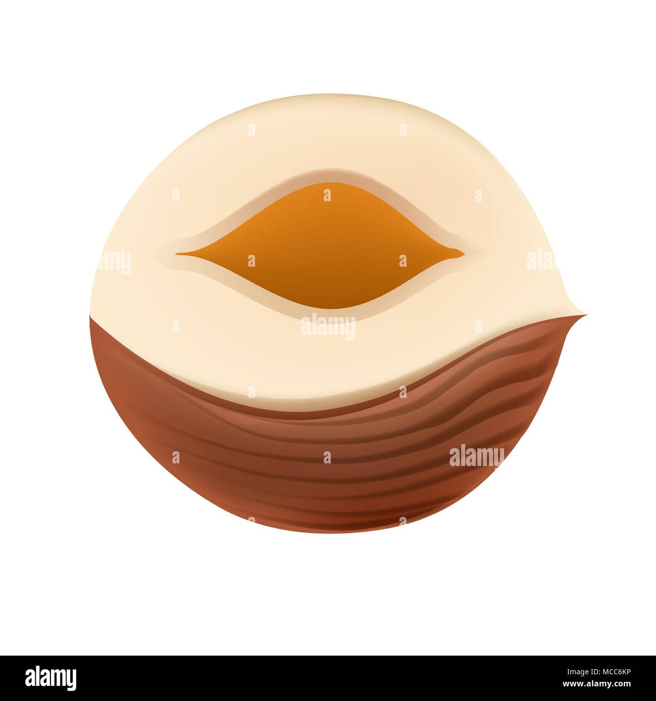 Metà organico nocciola. 3d colori realistici. Illustrazione Vettoriale