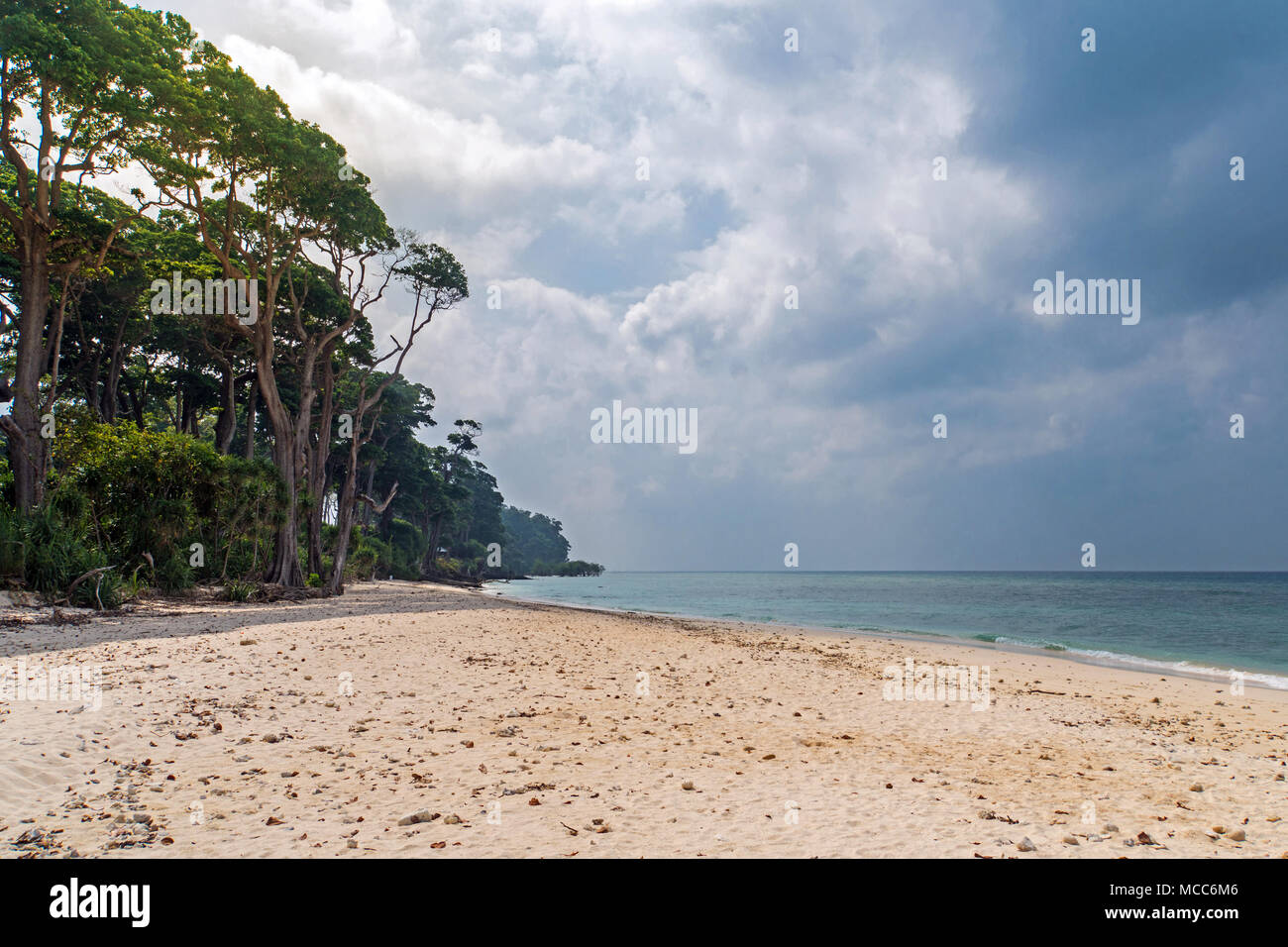 Splendida vista della boa Jolly Beach, un bellissimo albero sdraiato sulla spiaggia, Andaman Nicobar. nuvole temporalesche sull'isola Foto Stock