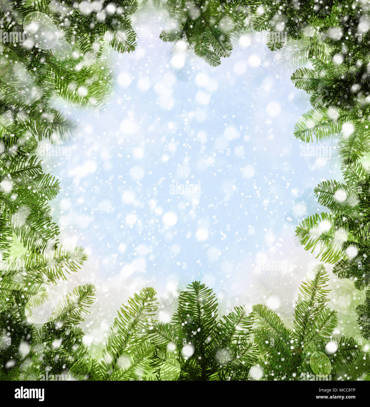 Inverno sfondo con albero di Natale ramoscello. Fantasia astratta confine con il bianco della neve e Sparkle per Xmas Card Foto Stock