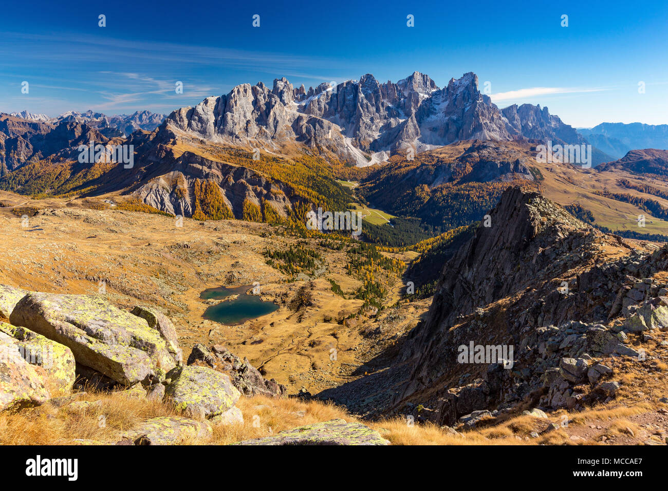 Il Paneveggio Pale di San Martino parco naturale, Juribrutto valley, Venega valley. Vista dalla cima Bocche. Il Trentino Dolomiti. Alpi italiane. L'Europa. Foto Stock