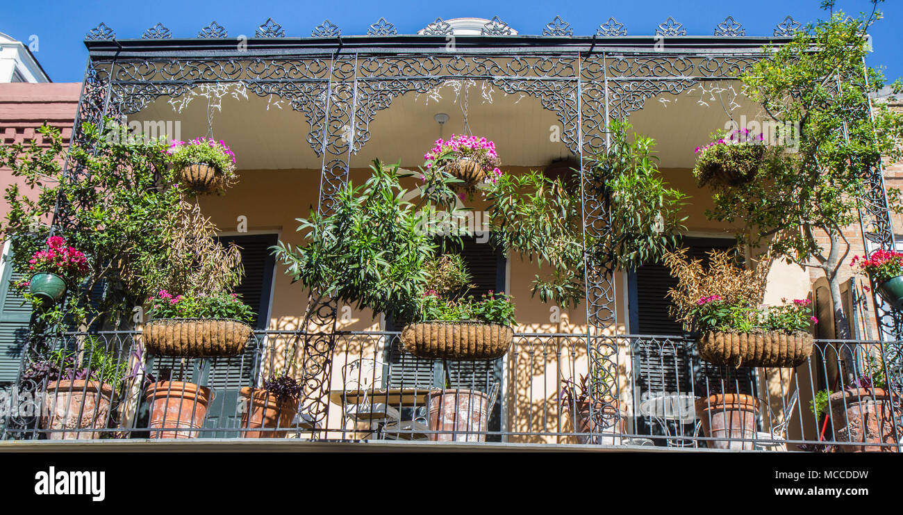Quartiere Francese di Architettura, New Orleans, Louisiana, Stati Uniti. Costruito nel XVIII secolo spagnolo stile architettonico con dei balconi in ferro. Foto Stock