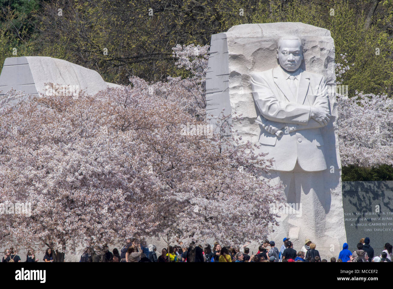Gli ospiti sembrano sopraffatte dall'imponente scultura di Martin Luther King, Jr.presso il bacino di marea in Washingon DC. Foto Stock