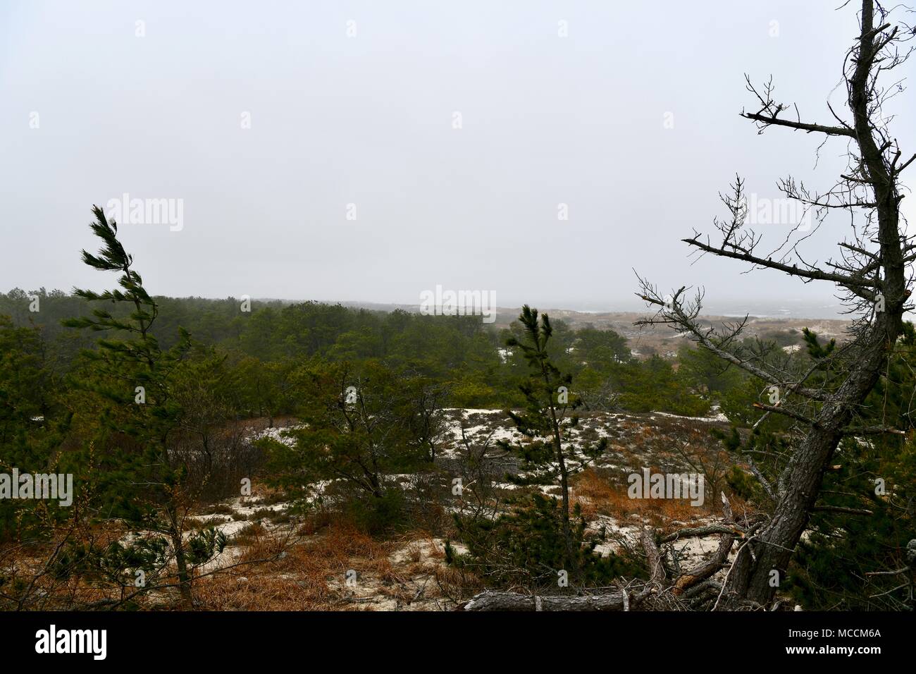 Spiaggia di nebbia paesaggio nel nord del Delaware, STATI UNITI D'AMERICA Foto Stock