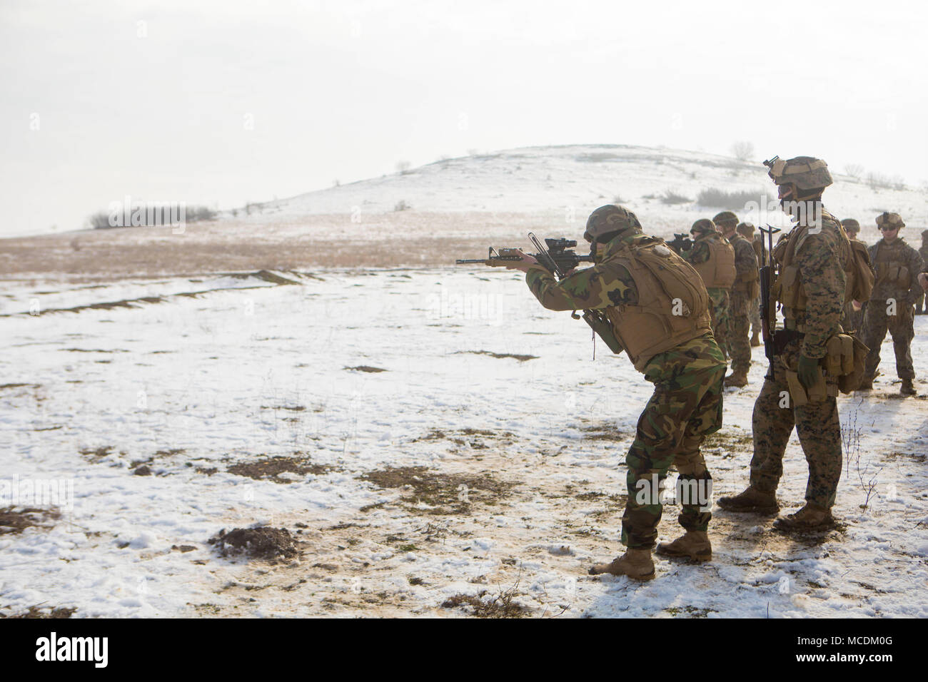 Un U.S. Marine e un soldato moldavo exchange fucili a familiarizzarsi con ogni altra arma durante l'esercizio Platinum Eagle 17.2 a Babadag Area Formazione, Romania, Feb. 12. Mar Nero La forza di rotazione della partecipazione di Aquila Platinum permette la formazione con più nazioni partner ed è di fondamentale importanza nel trattare le questioni regionali e di mantenimento della pace nella parte orientale della regione europea. Foto Stock