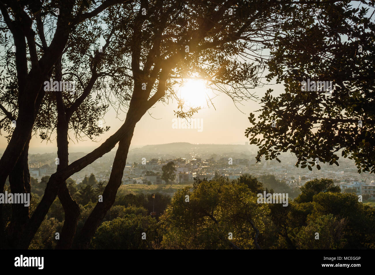 Vista del sole luminoso sulla città di Atene da in mezzo agli alberi, Grecia Foto Stock