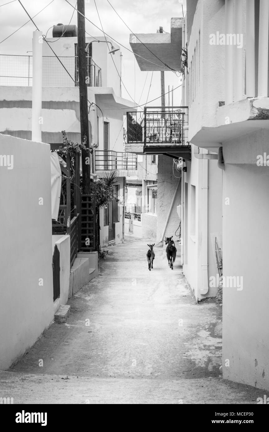 Street da edifici residenziali, Creta, Grecia Foto Stock