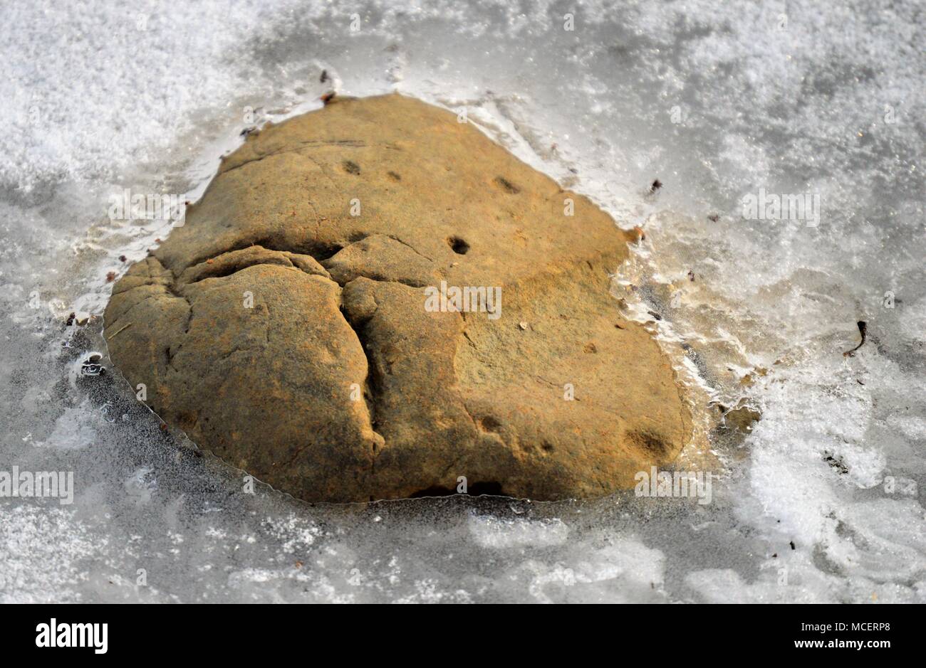Si tratta di un cookie o un rock. Foto Stock
