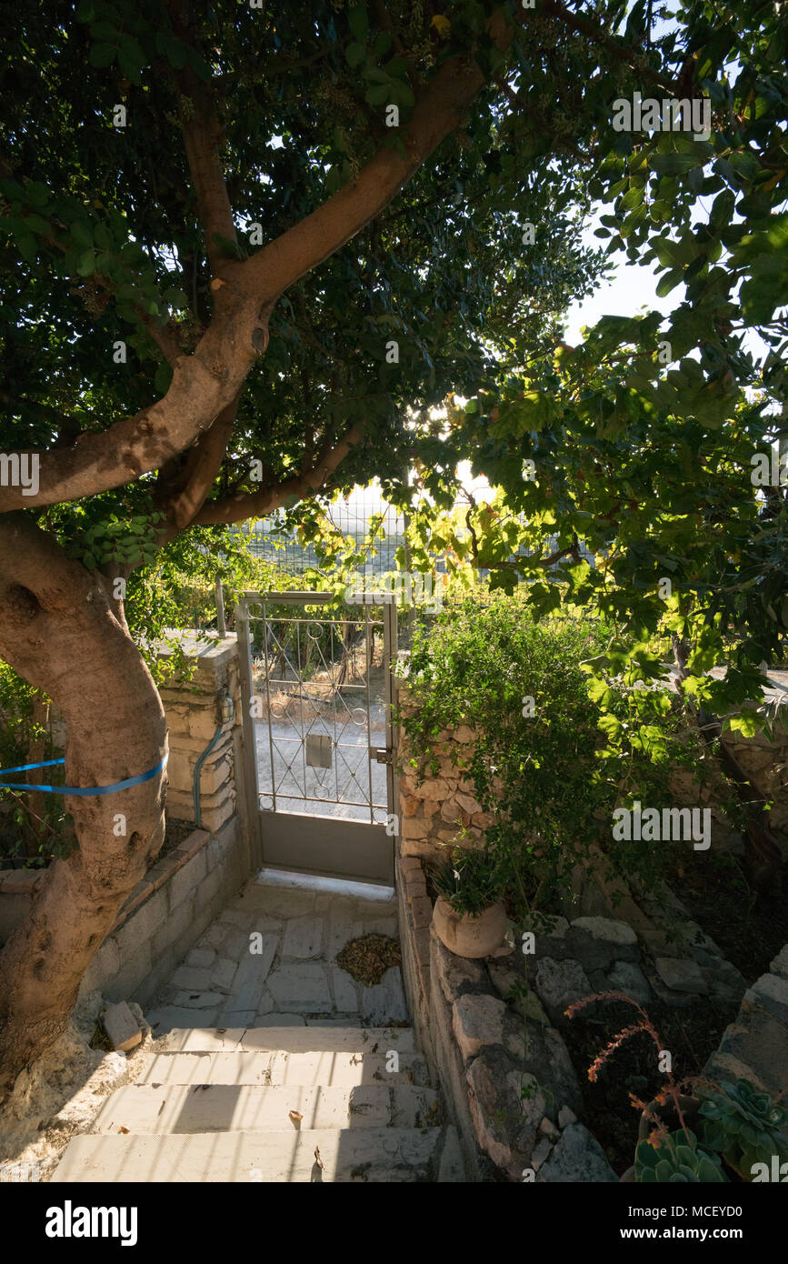 Le piante e gli alberi di fronte o retro cortile con cancello chiuso, Heraklion, Grecia Foto Stock