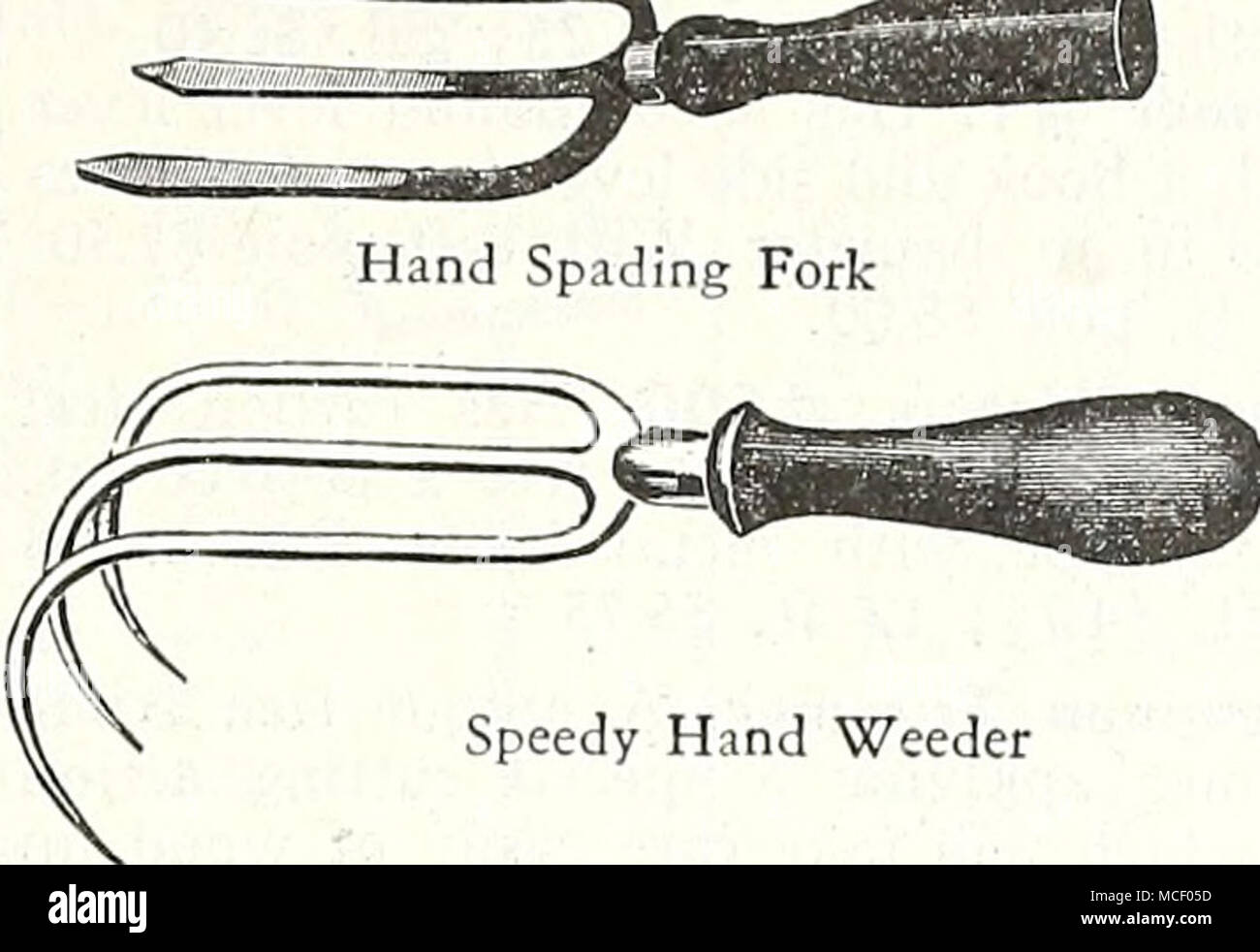 . Speedy mano Weeder Magic Weeder. In robusta lamiera zincata, filo flessibile con estremità appiattita. No. A. Manico corto. 25C. No. B. medie maniglia. 35c. No. F. Impugnatura lunga, 42 a. 4 denti n. G. manico lungo, 48.-4 rebbi Foto Stock