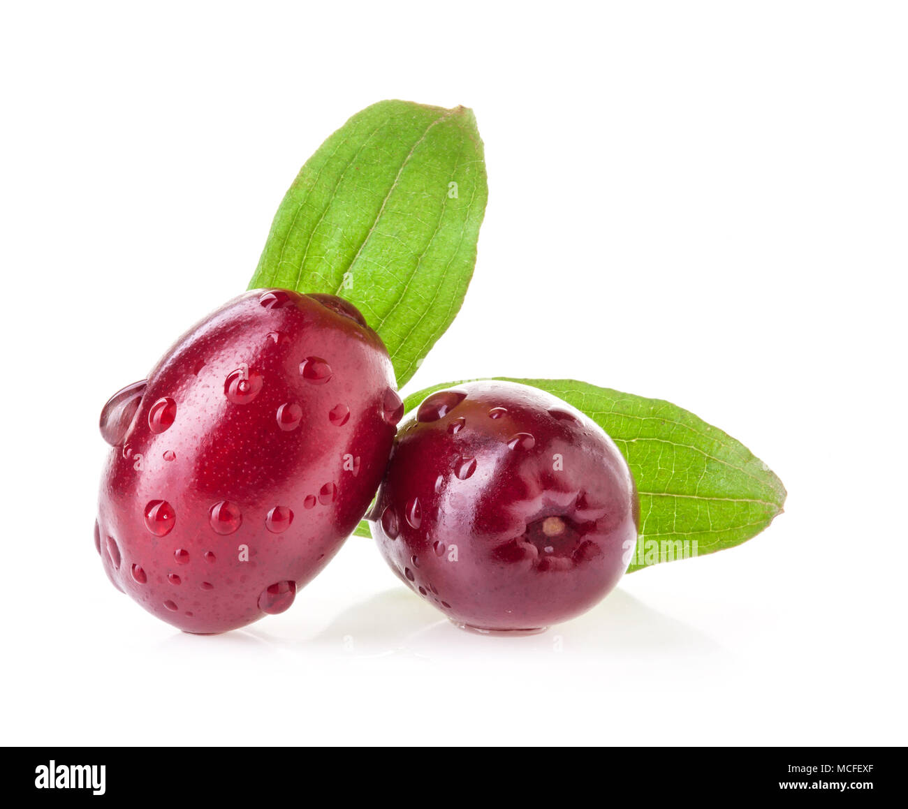 Corniolo Berry isolati su sfondo bianco Foto Stock