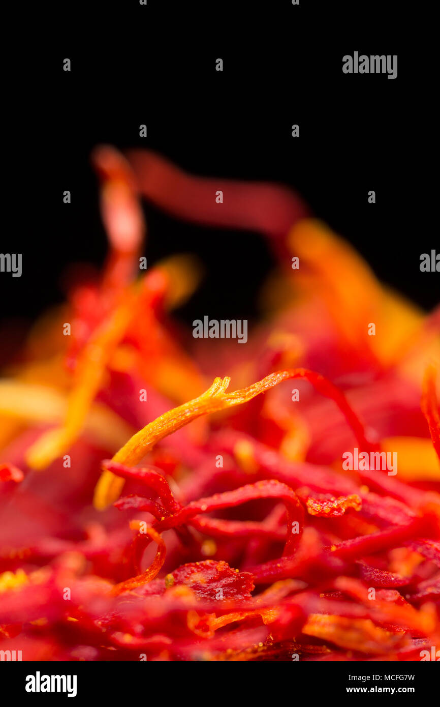 Close up di un mucchio di zafferano in filamenti di un vasetto acquistato da un supermercato nel Regno Unito su uno sfondo nero. Foto Stock