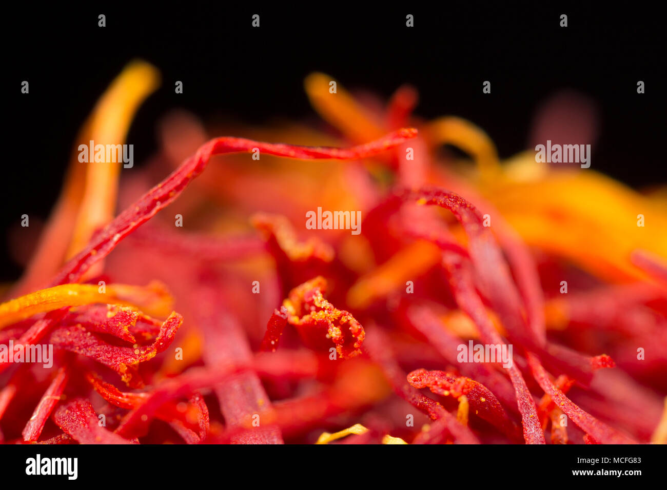 Close up di un mucchio di zafferano in filamenti di un vasetto acquistato da un supermercato nel Regno Unito su uno sfondo nero. Foto Stock