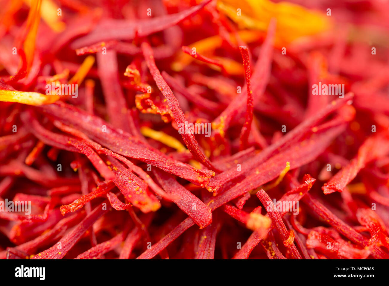 Close up di un mucchio di zafferano in filamenti di un vasetto acquistato da un supermercato nel Regno Unito su uno sfondo nero. Foto Stock