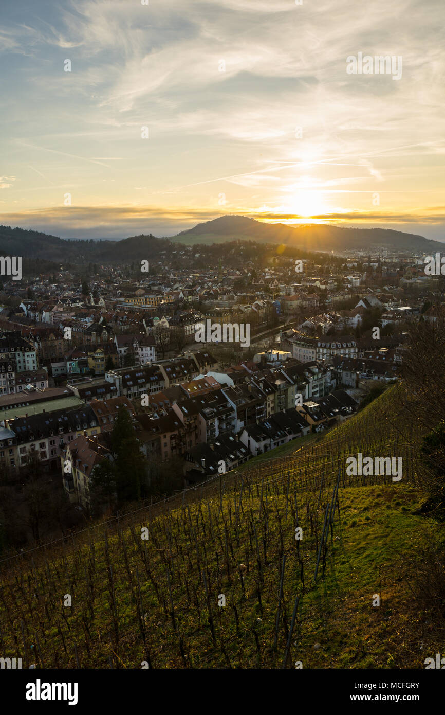 Germania, città Freiburg im Breisgau dietro il verde vigneto nella calda luce del tramonto Foto Stock