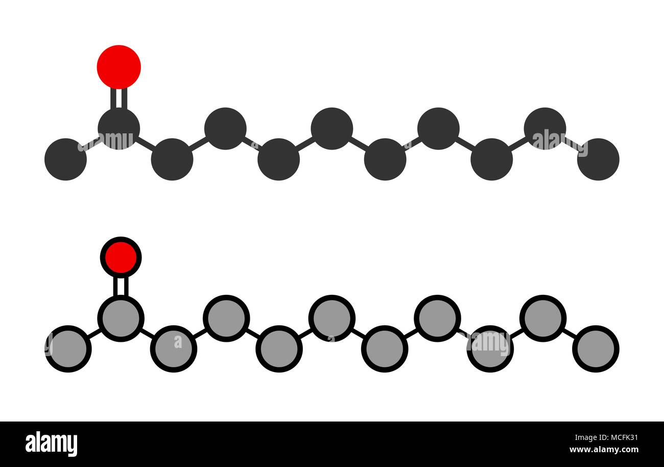 Metile nonile chetone (2-undecanone) repellente per insetti molecola. Stilizzata 2D rendering. Illustrazione Vettoriale