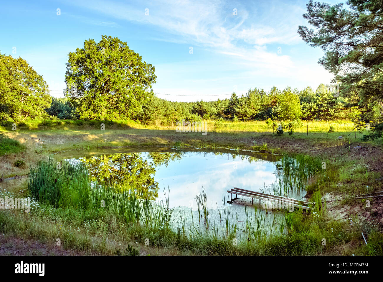 Bella e verde paesaggio naturale nel periodo estivo Foto stock - Alamy