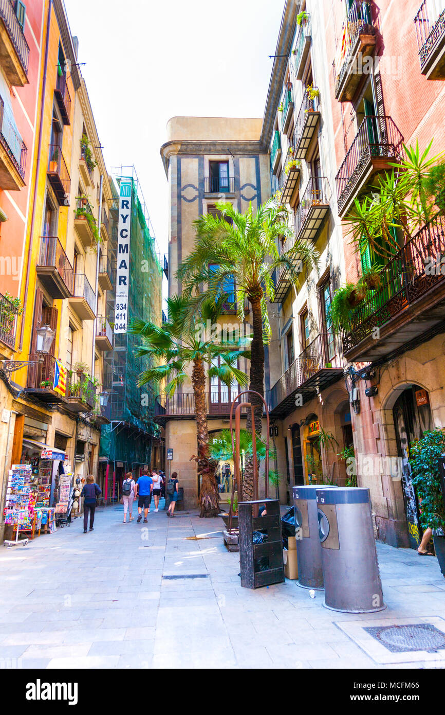 Street con palme e case colorate nel Quartiere Gotico (Barri Gotic) a Barcellona, Spagna Foto Stock