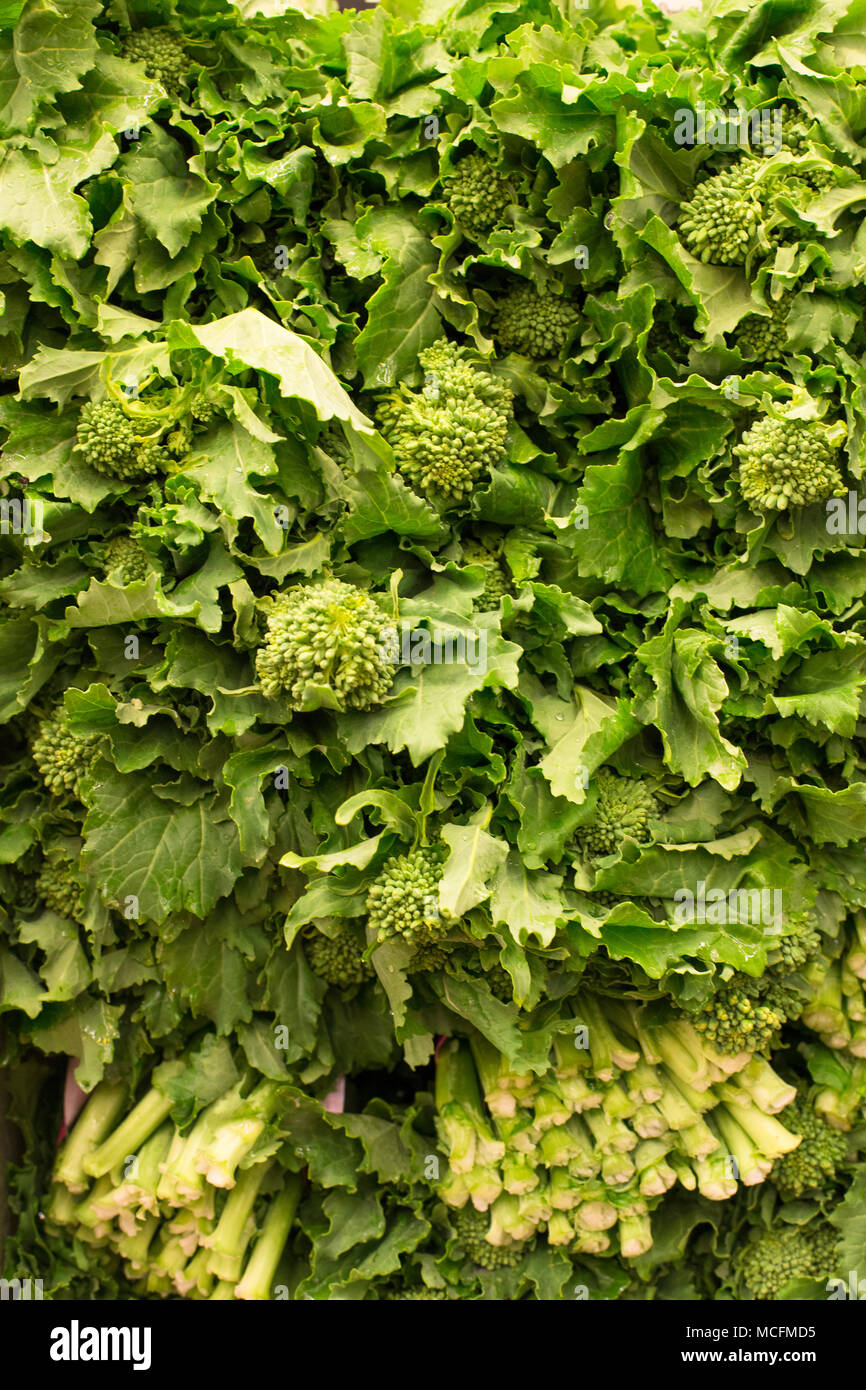 Materie fresche foglie verdi broccoli rabe rapini Foto Stock